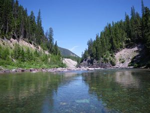 Lake in Flathead National Forest