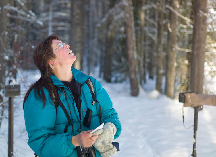 Biologist Lisa Bate counts birds during the annual Christmas bird count in Glacier in 2010.