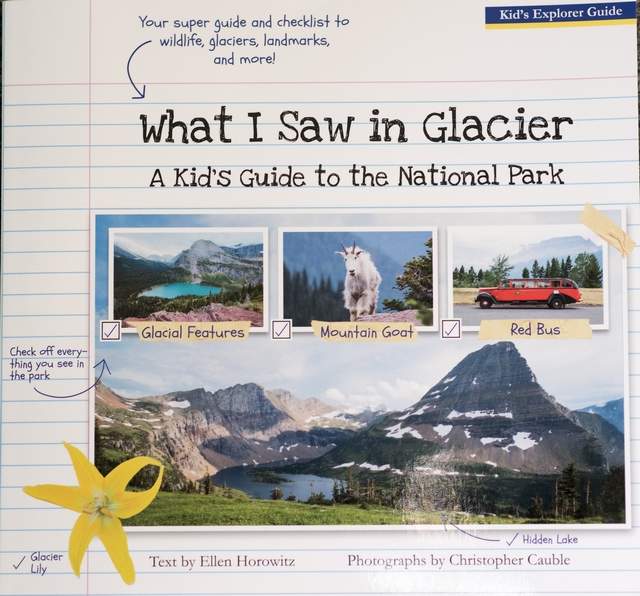 What I Saw in Glacier - cover
