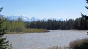 North Fork Flathead River, May 16, 2018 - by William K. Walker