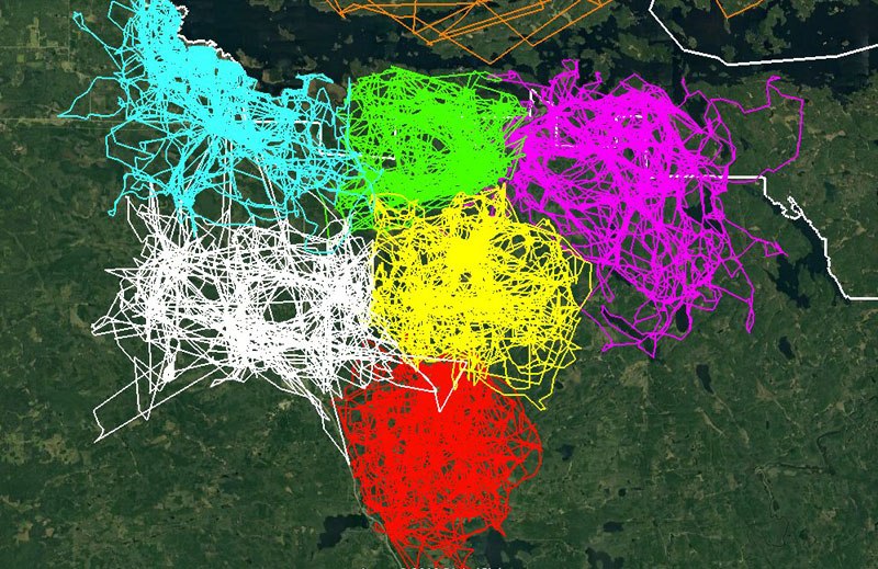 Map Uses GPS Locations to Show How Territorial Wolf Packs Are - map by Voyageurs Wolf Project