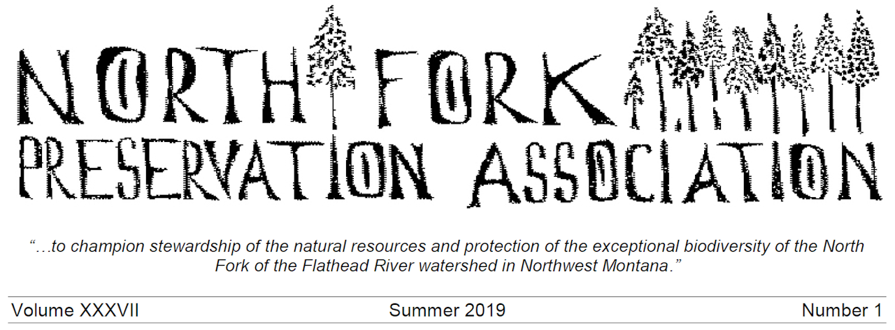 NFPA 2019 Newsletter Header