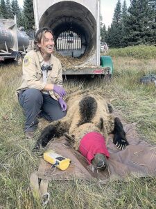 Justine Vallieres, Montana Fish, Wildlife and Parks wildlife conflict specialist